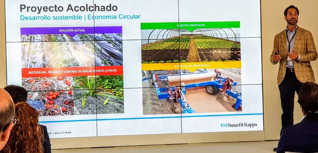 acolchado-papel-kappa|Smurfit 1 horiz (2)|Smurfit agropaper2|acolchado-papel|acolchado-papel